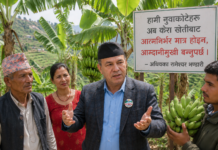 नुवाकोटेहरू अब केरा खेतीबाट आत्मनिर्भर मात्र होइन, आम्दानीमुखी बन्नुपर्छ : अधिवक्ता रामेश्वर भण्डारी