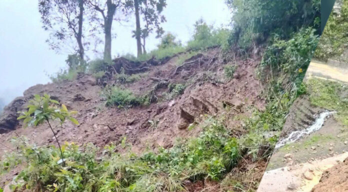 रसुवाको डिखेत गाउँ जोखिममा — संरक्षणका लागि तत्काल पहल गर्न स्थानीयको माग